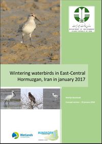 Watervogeltellingen in Hormuzgan, Iran 2017
